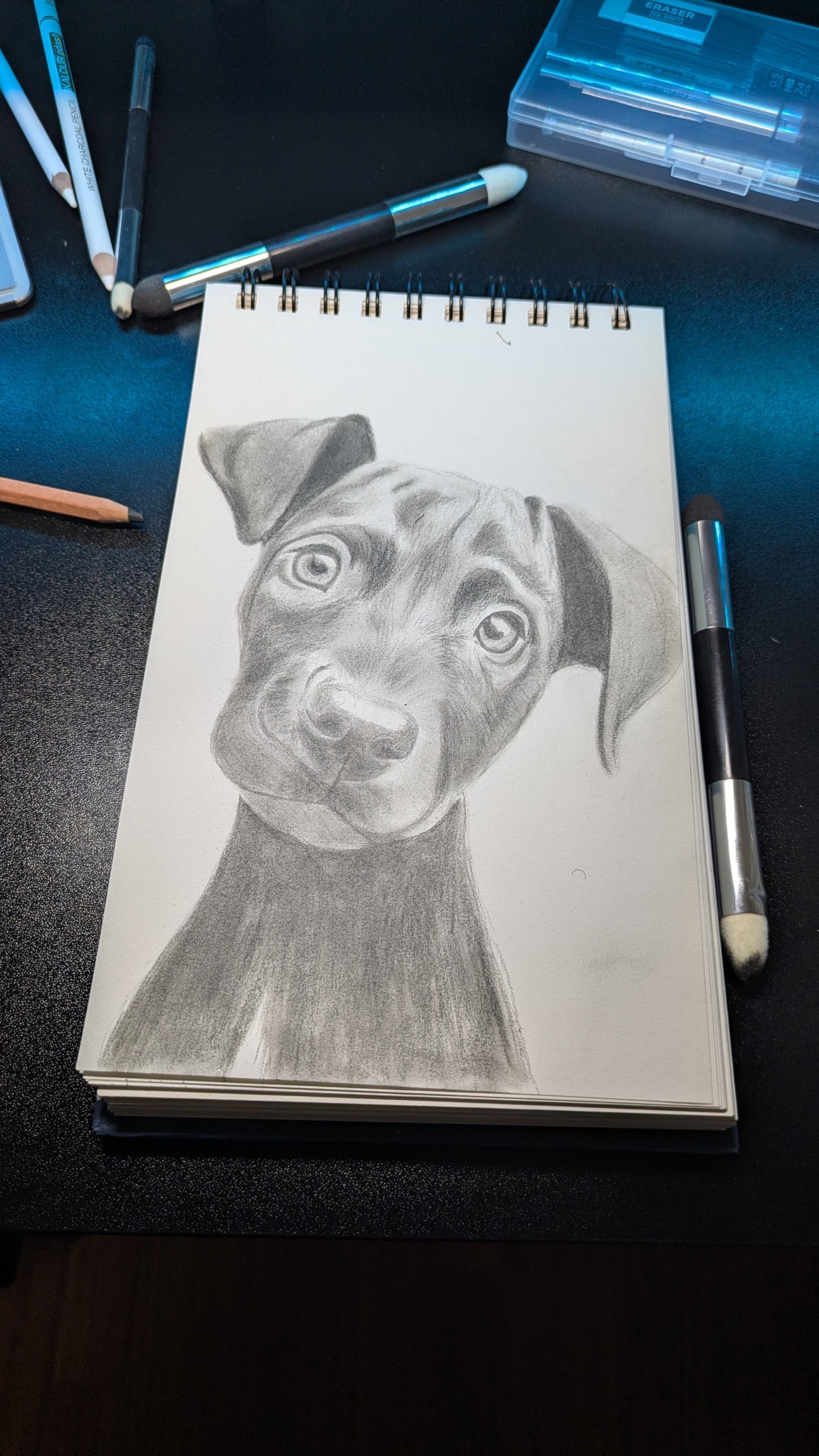 Cute puppy